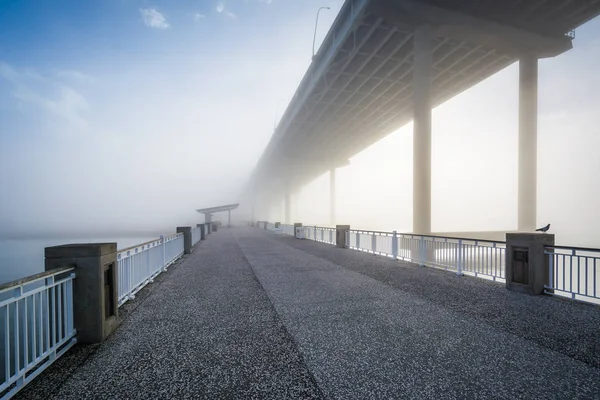 Mount Pleasant molo i Arthur Ravenel Bridge, w Charleston — Zdjęcie stockowe