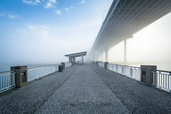 The Mount Pleasant Pier and Arthur Ravenel Bridge, in Charleston — Stock Photo, Image