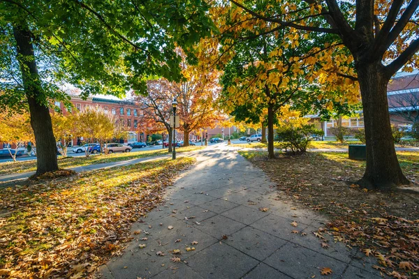 Color de otoño y pasarela en Union Square, en Baltimore, Maryland — Foto de Stock