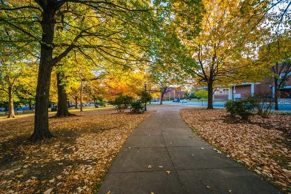 Jesienią kolor i chodnik przy placu Union Square, w Baltimore, Maryland — Zdjęcie stockowe