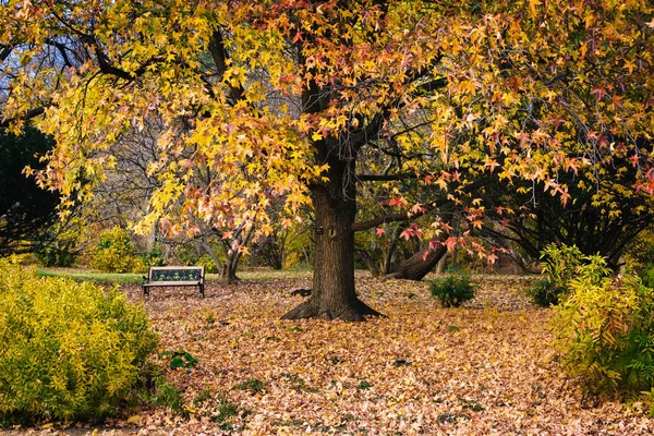 Color de otoño en Cylburn Arboretum, en Baltimore, Maryland . — Foto de Stock