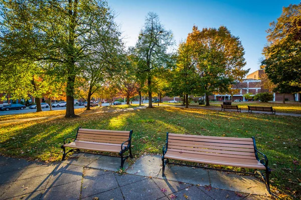 Benches and walkway with autumn color at Union Square, in Baltim — Stock Photo, Image