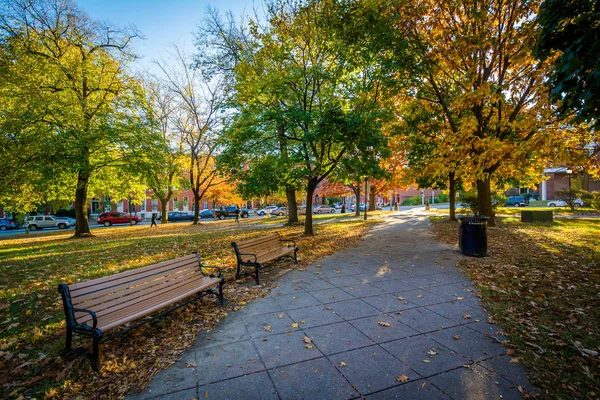 Bänkar och gångväg med höstfärg på Union Square, i Baltim — Stockfoto