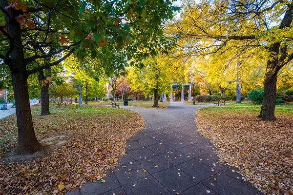 Walkway and autumn color at Union Square, in Baltimore, Maryland — Stock Photo, Image