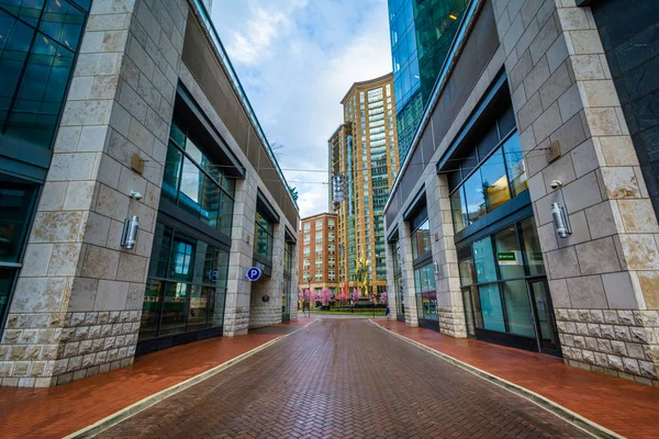 Street och moderna byggnader i hamnen öster, Baltimore, Maryland. — Stockfoto