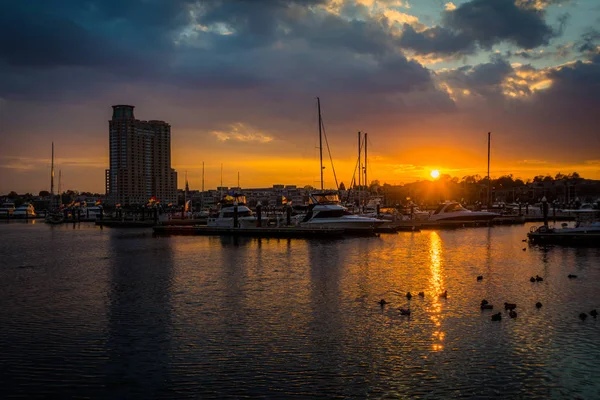 Sunset over a marina in Harbor East, Baltimore, Maryland. — Stock Photo, Image