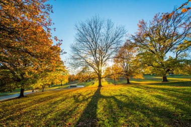Patterson Park, Baltimore, Maryland sonbahar renk.