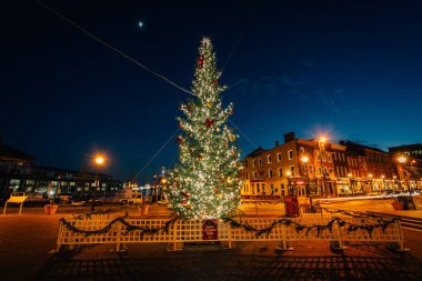 Noel ağacı akşamlarınıFells Point'teki, Baltimore, Maryland.