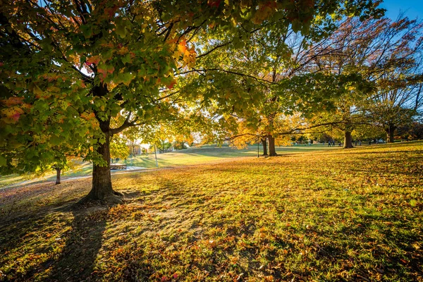Color de otoño en Patterson Park, en Baltimore, Maryland . —  Fotos de Stock