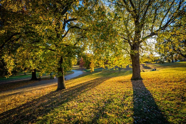 Color de otoño en Patterson Park, en Baltimore, Maryland . — Foto de Stock