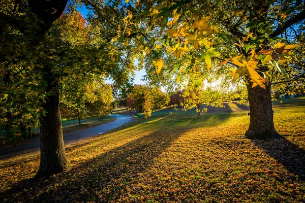 Осенний цвет в парке Паттерсон, Балтимор, Мэриленд . — стоковое фото
