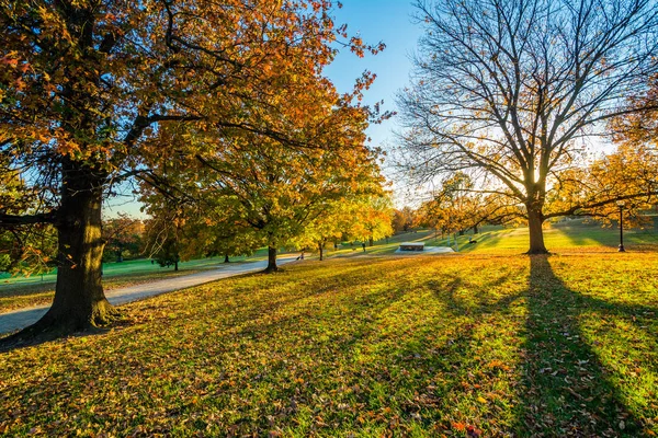 Autumn color at Patterson Park, in Baltimore, Maryland. — Stock Photo, Image