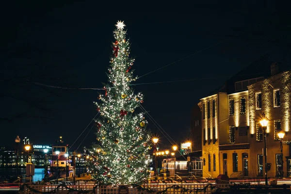 Рождественская елка в Феллс-Пойнт, Балтимор, Мэриленд . — стоковое фото