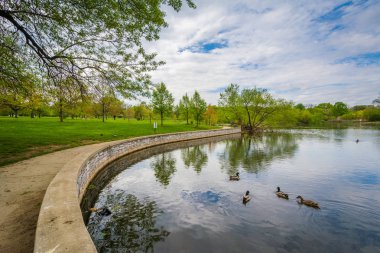 Gölet Patterson Park, Baltimore, Maryland.