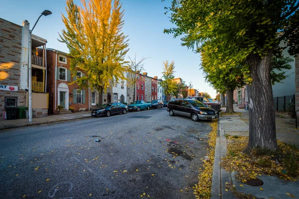 Höstfärg längs en gata nära Hollins marknad, i Baltimore, — Stockfoto