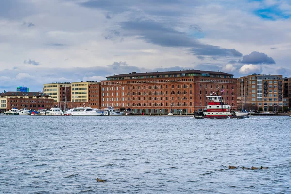 Blick auf den Fjellpunkt vom Heuschreckenpunkt, in Baltimore, Maryland. — Stockfoto