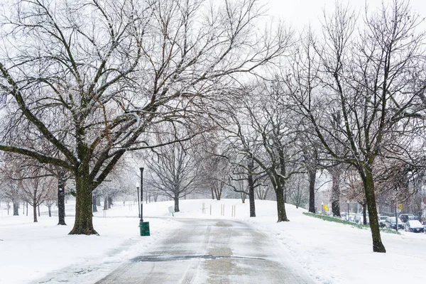在马里兰州巴尔的摩帕特森公园的雪中走着路. — 图库照片