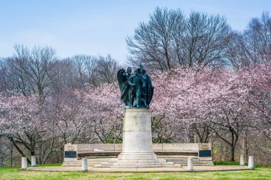 Cherry blossoms and statue at Wyman Park, in Charles Village, Ba clipart