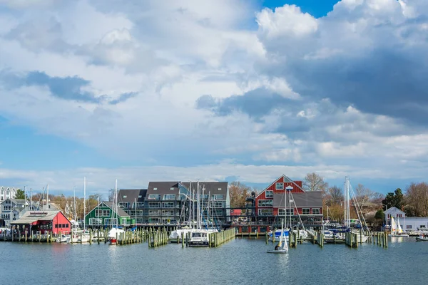 Gebouwen en jachthavens langs Spa Creek, in Annapolis, Maryland. — Stockfoto