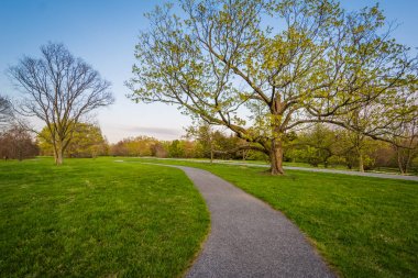 Geçit ve Cylburn Botanik Bahçesi, Baltimore, Maryland, ağaçlar.