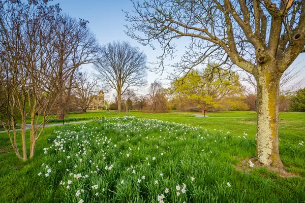 Flores y árboles en Cylburn Arboretum en Baltimore, Maryland . — Foto de Stock