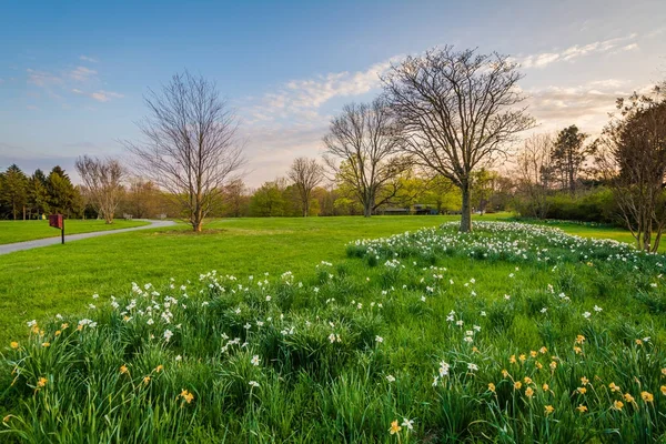 Flowers and trees at Cylburn Arboretum in Baltimore, Maryland. — Stock Photo, Image