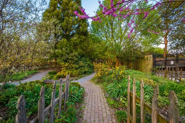 Сад в Cylburn Arboretum в Балтиморе, Мэриленд . — стоковое фото