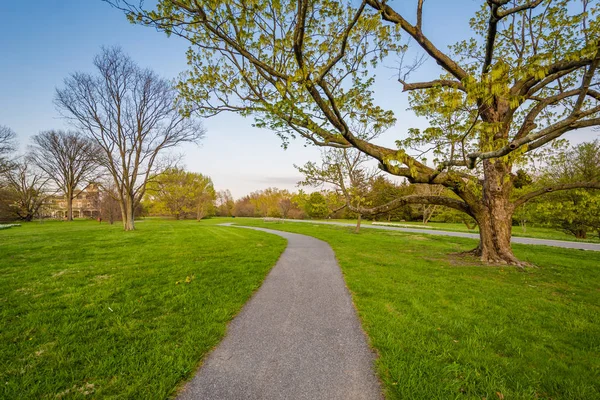 Gångväg och träd i Cylburn Arboretum, i Baltimore, Maryland. — Stockfoto