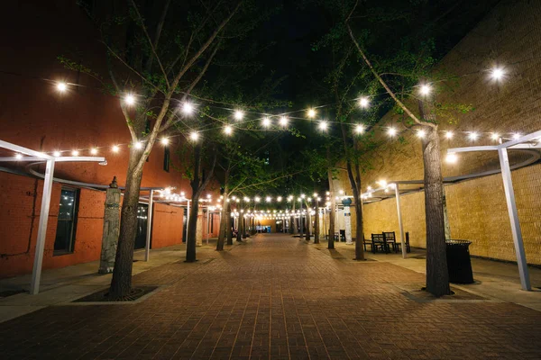 Luzes de corda no Century Plaza à noite, no centro de Roanoke, Vi — Fotografia de Stock