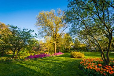 Colorful flowers and trees at Sherwood Gardens Park in Guilford, clipart