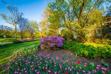 Renkli çiçekler ve ağaçlar yılında Guilford Sherwood Gardens Park,