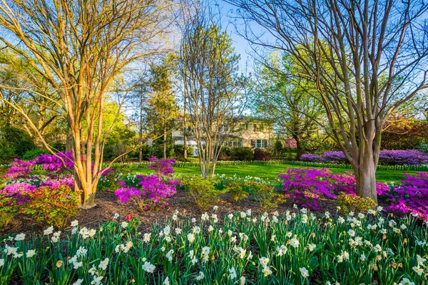 Colorful flowers and trees at Sherwood Gardens Park in Guilford, — Stock Photo, Image