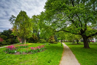 Çiçekler Akademi Park, Albany, New York.