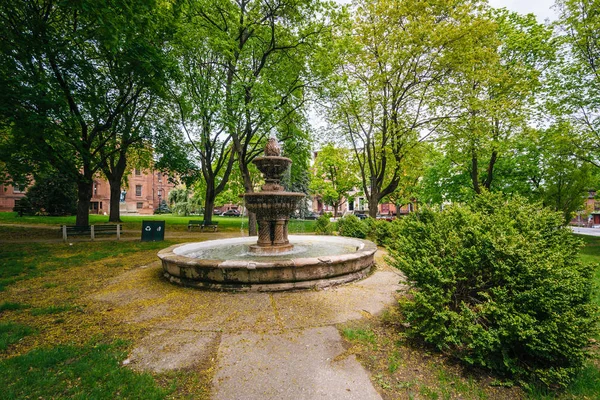 Brunnen im Akademiepark in Albany, New York. — Stockfoto