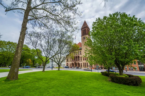 Träd och stadshuset, i Albany, New York. — Stockfoto