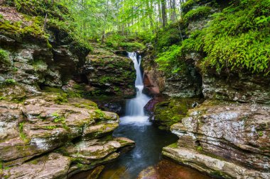 Adam'ın Falls, Ricketts Glen State Park, Pennsylvania.