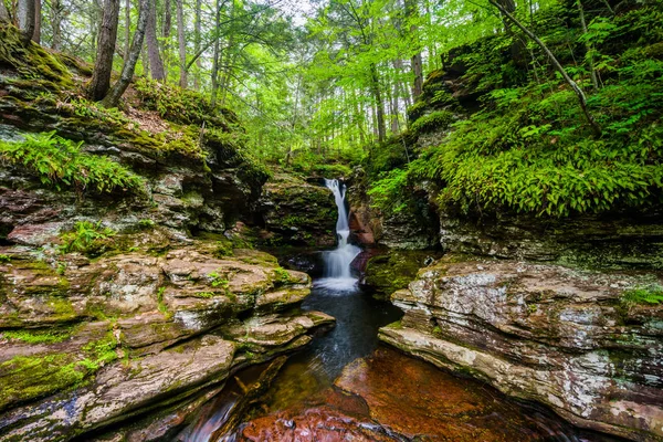 Adam 's Falls, em Ricketts Glen State Park, Pensilvânia . — Fotografia de Stock