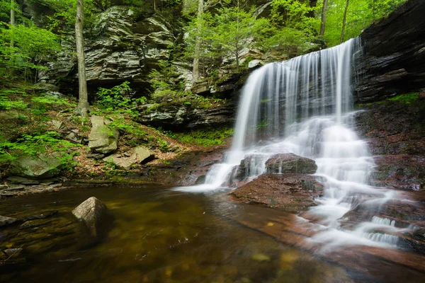 D. Reynolds Falls, Ricketts Glen State Park, Pennsylvania. — Stok fotoğraf