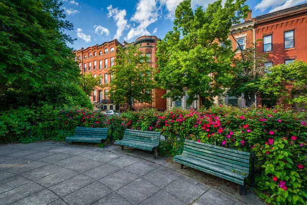 Bänkar och blommor på Park Avenue Median Park, i Bolton Hill, — Stockfoto