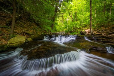 Cascades boyunca Glen Leigh Ricketts Glen State Park, Pennsylva içinde