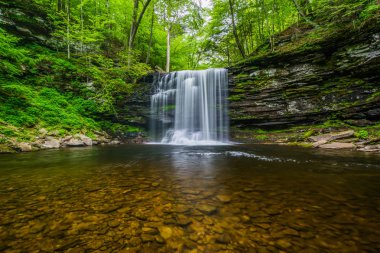 Harrison Wright Falls, Ricketts Glen State Park, Pennsylvania