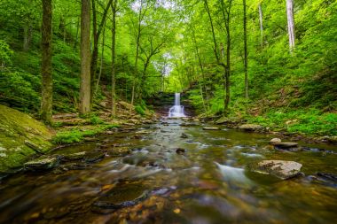 Sheldon Reynolds Falls, in Ricketts Glen State Park, Pennsylvani clipart
