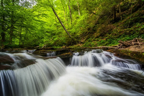 Kaskády v kuchyni Creek v Ricketts Glen State Park, Pennsylva — Stock fotografie