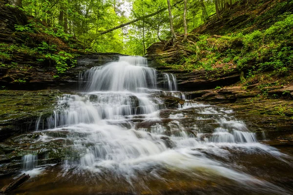 Onondaga Falls, em Ricketts Glen State Park, Pensilvânia . — Fotografia de Stock