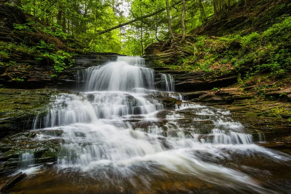 Onondaga faller, på Ricketts Glen State Park, Pennsylvania. — Stockfoto