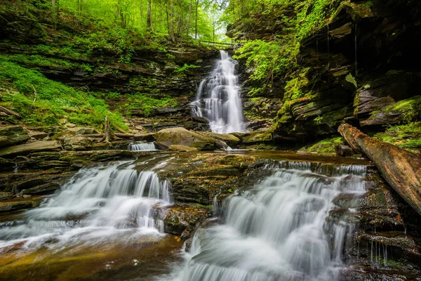 Chutes d'ozone, à Ricketts Glen State Park, Pennsylvanie . — Photo