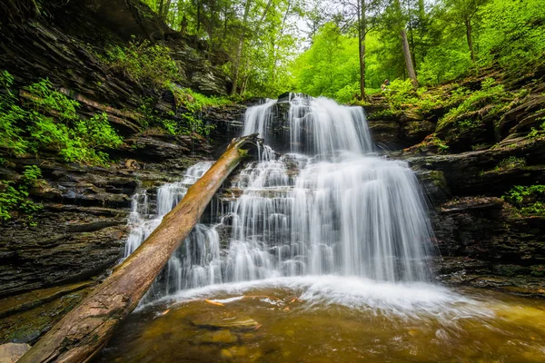 Shawnee Falls, em Ricketts Glen State Park, Pensilvânia . — Fotografia de Stock