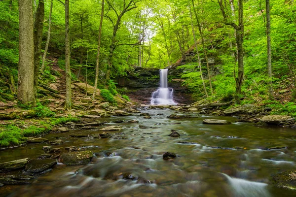 シェルドン レイノルズ滝、リケッツ グレン州立公園、Pennsylvani 内 — ストック写真