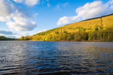 Brattleboro, Vermont Connecticut Nehri.