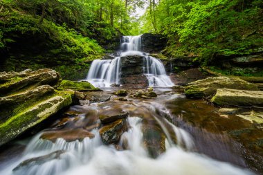 Tuscarora düşüyor, Ricketts Glen State Park, Pennsylvania.